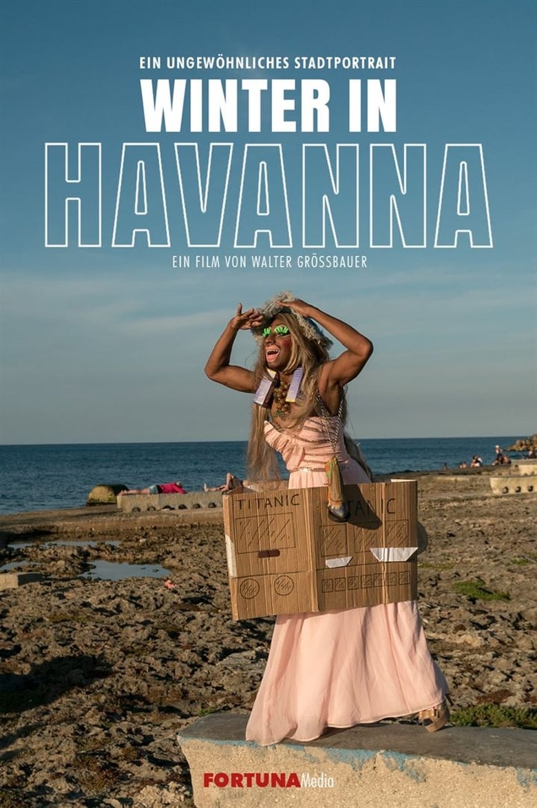 Poster of Winter in Havana