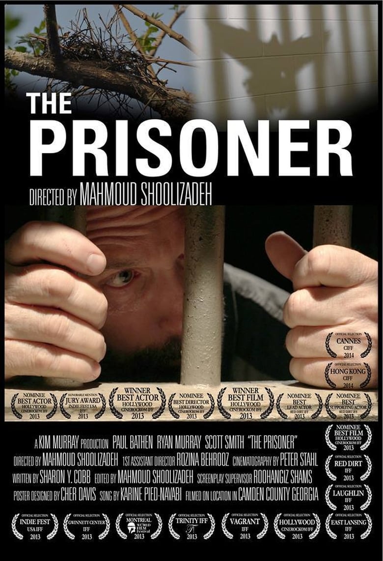 Poster of The Prisoner