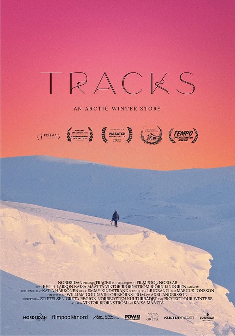 Poster of Tracks