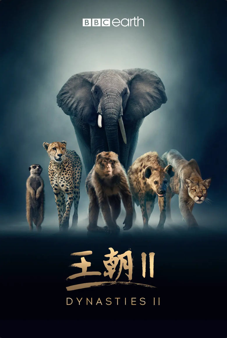 Poster of 王朝 第二季