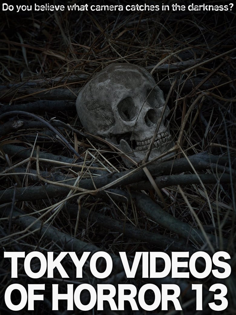 Poster of Tokyo Videos of Horror 13