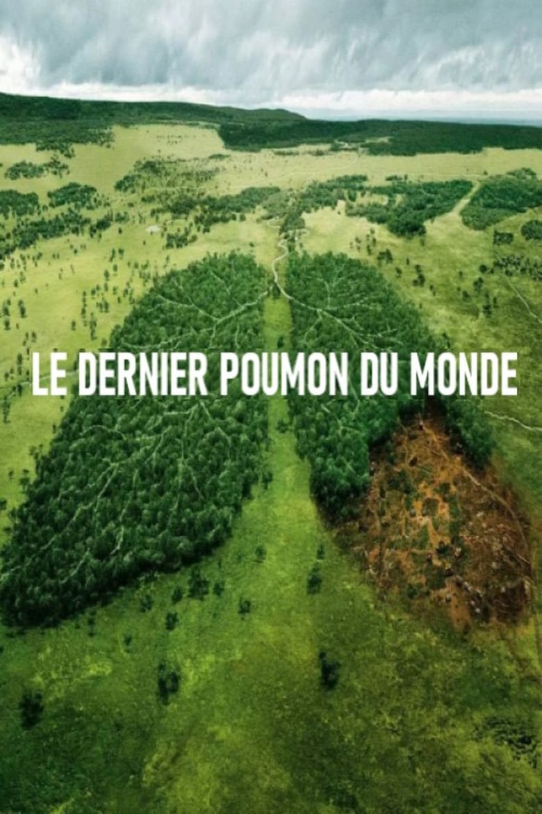 Poster of Le dernier poumon du monde