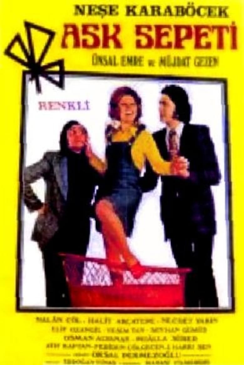 Poster of Aşk Sepeti