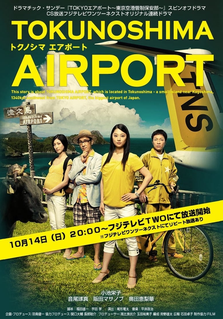 Poster of TOKUNOSHIMA Airport