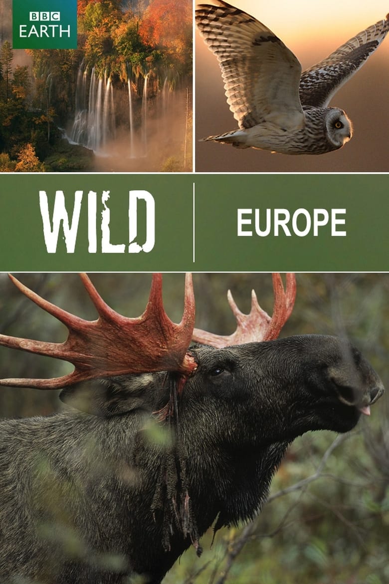 Poster of Wild Europe