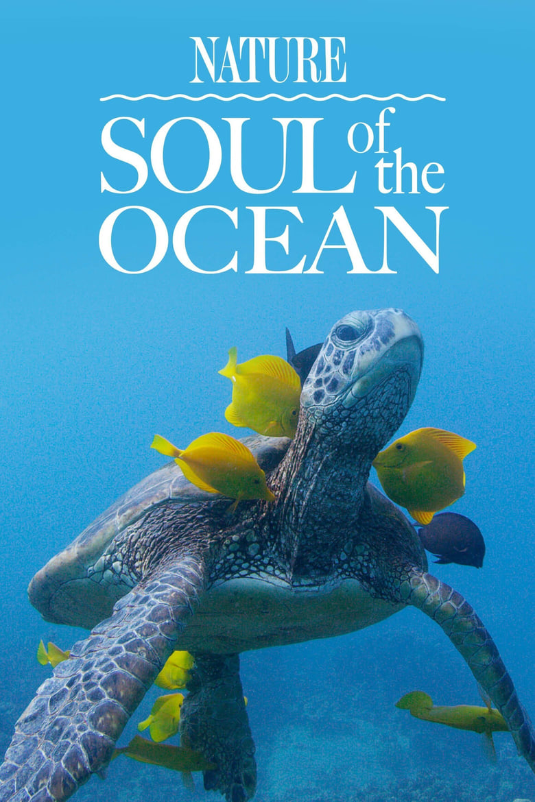 Poster of Soul of the Ocean