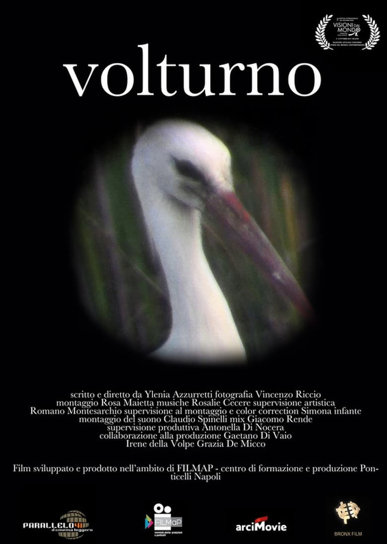 Poster of Volturno