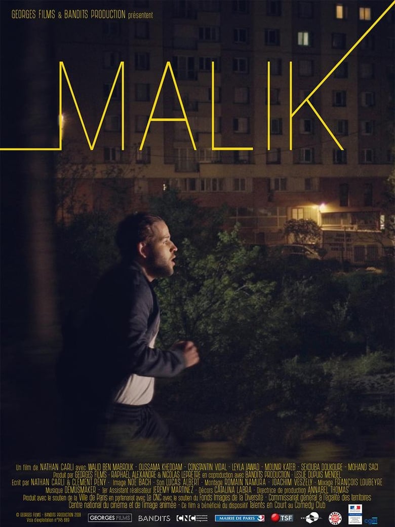 Poster of Malik