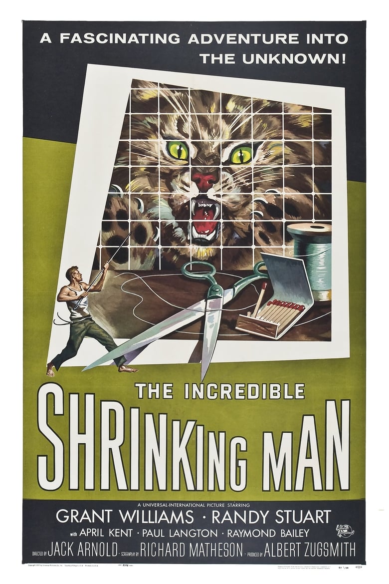 Poster of The Incredible Shrinking Man