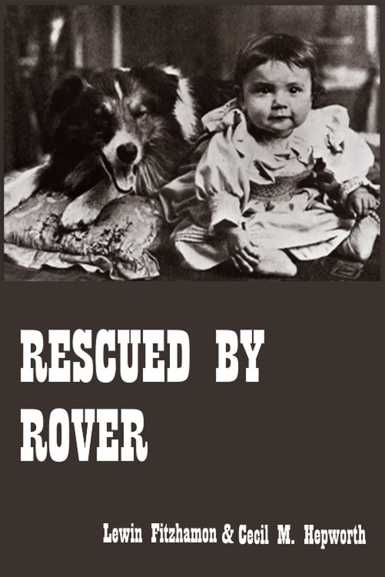 Poster of Rescued by Rover