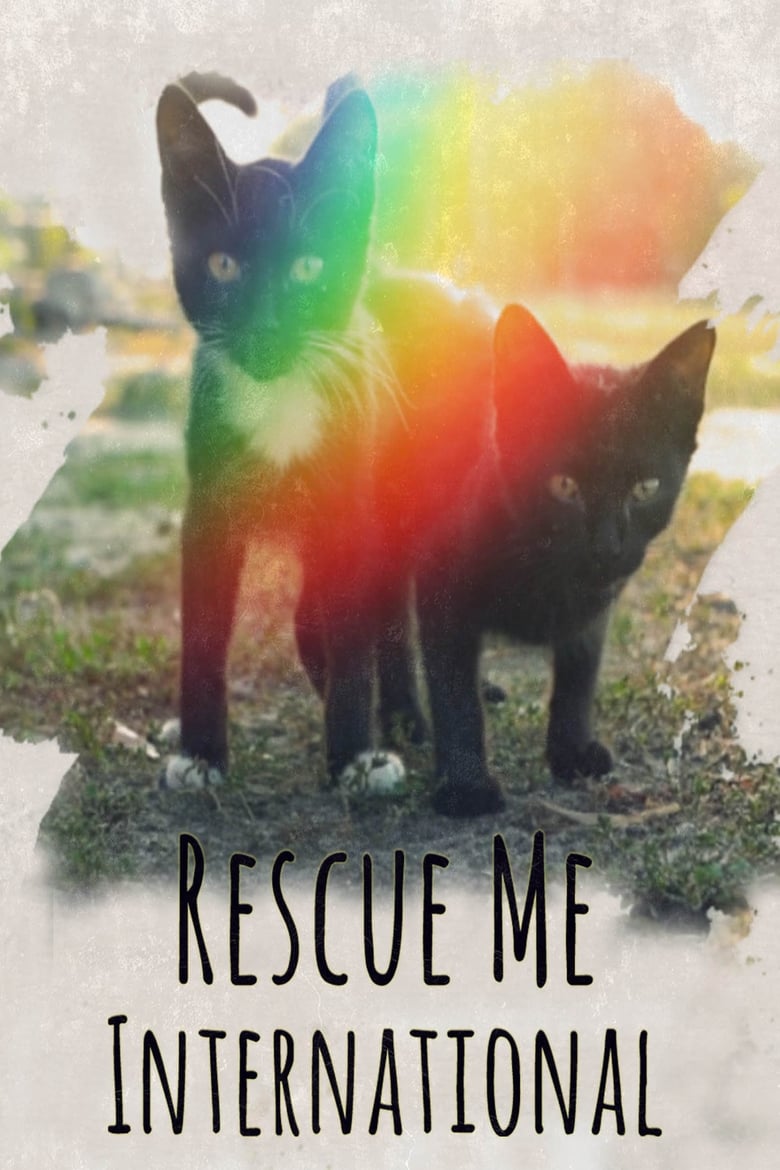 Poster of Rescue Me: International