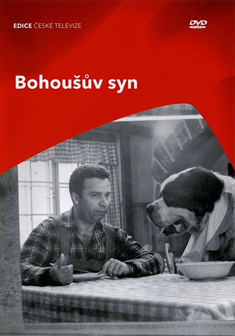 Poster of Bohoušův syn