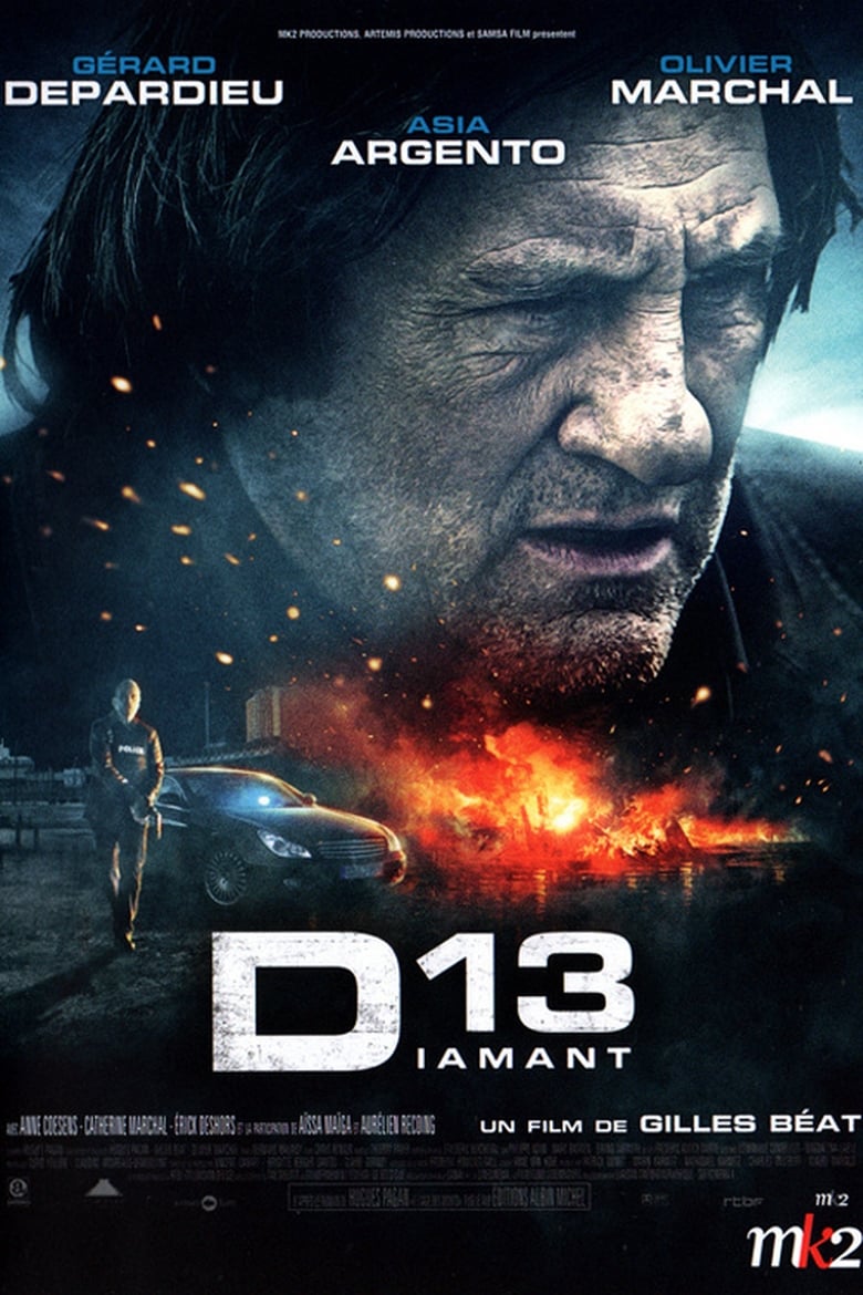 Poster of Diamond 13