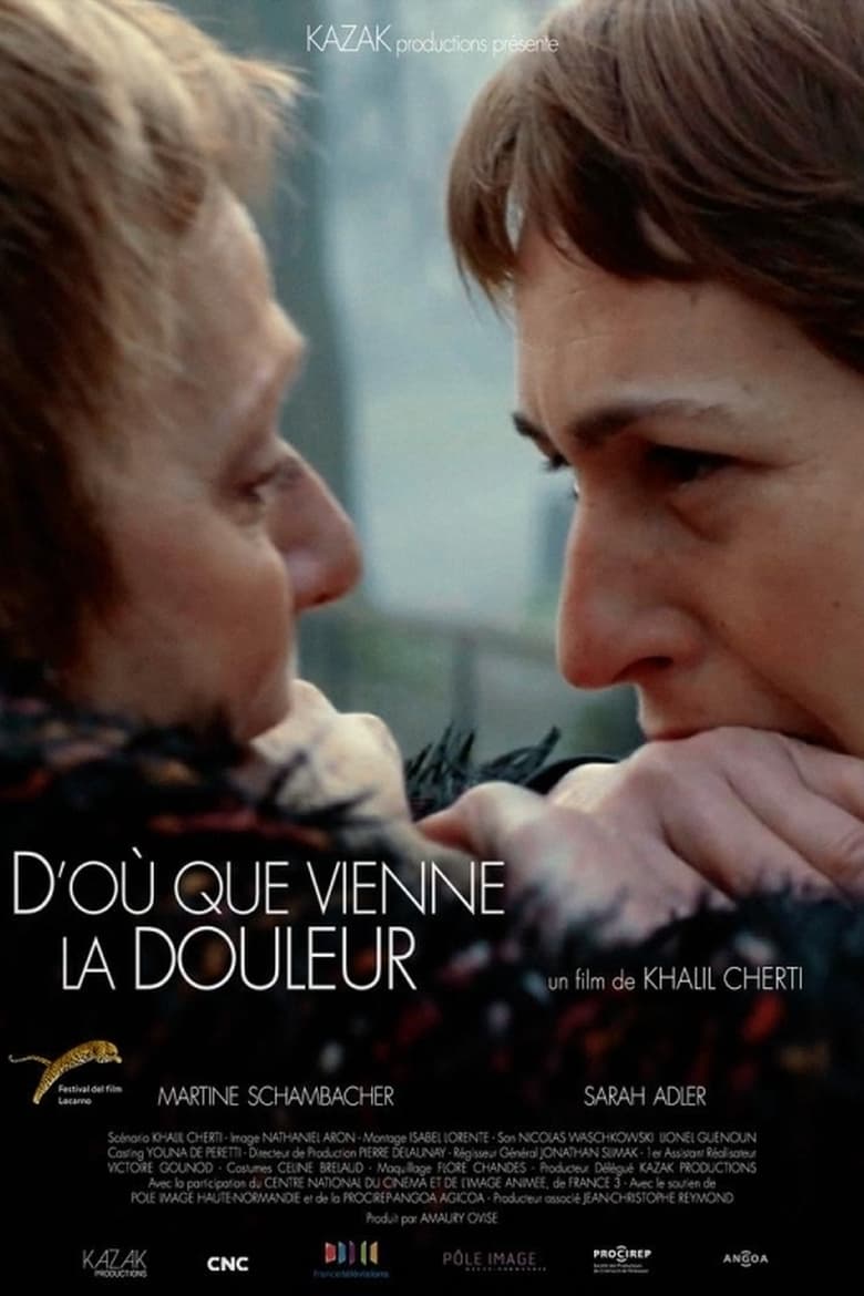 Poster of D'où que vienne la douleur