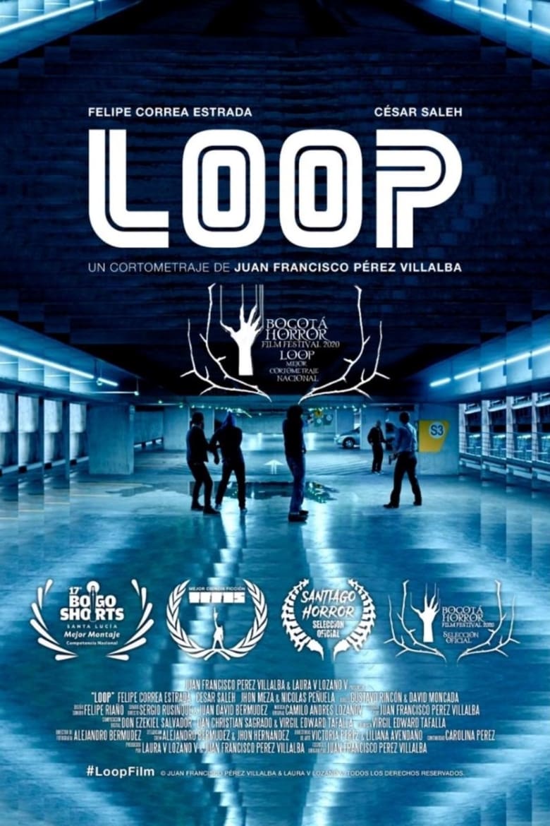 Poster of Loop