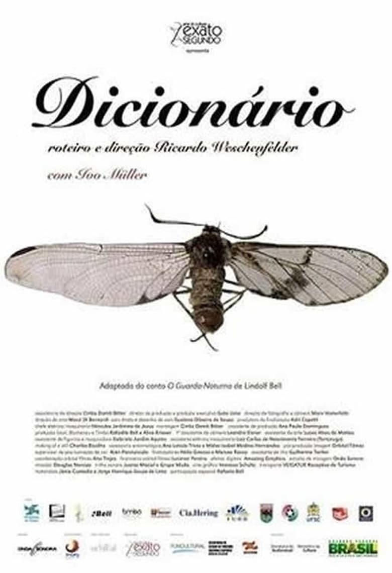 Poster of Dicionário