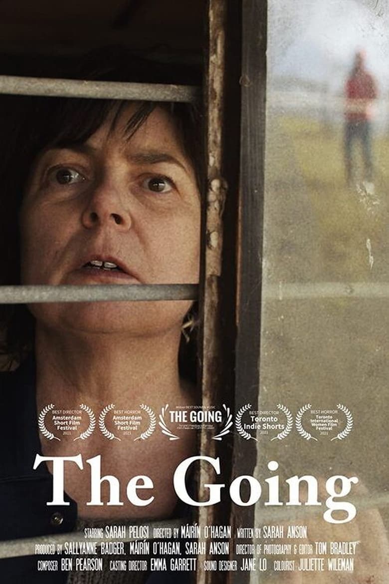 Poster of The Going