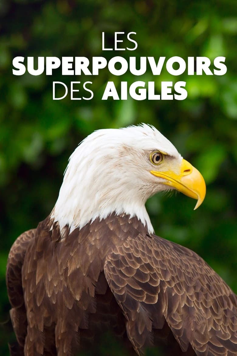 Poster of Superpowered Eagles