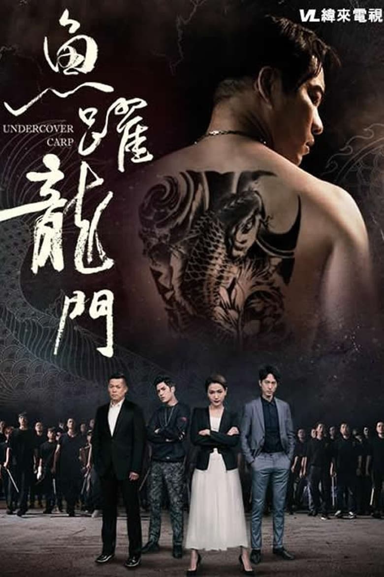 Poster of 鱼跃龙门