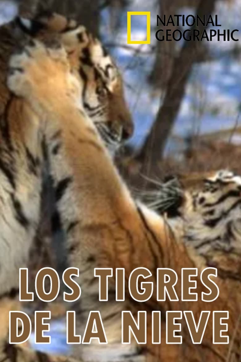 Poster of Los tigres de la nieve