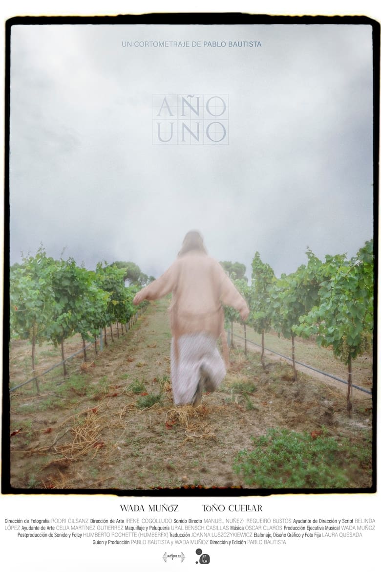 Poster of Año Uno