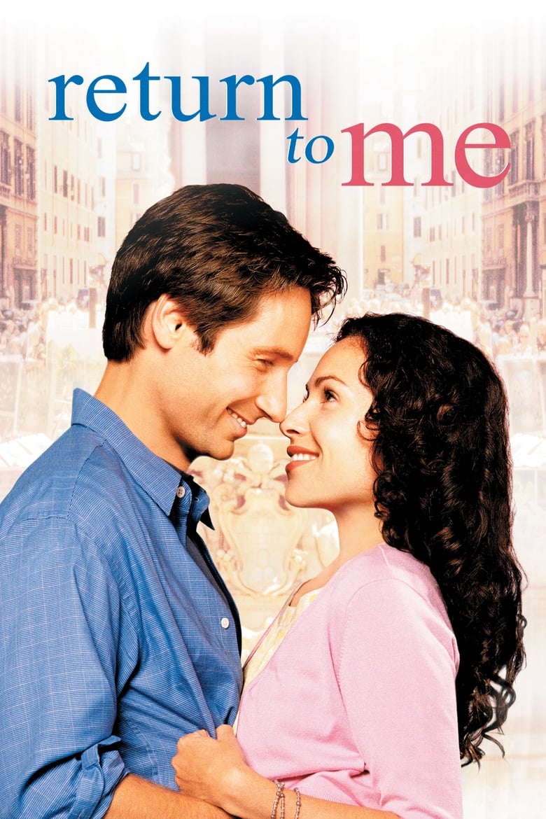 Poster of Return to Me