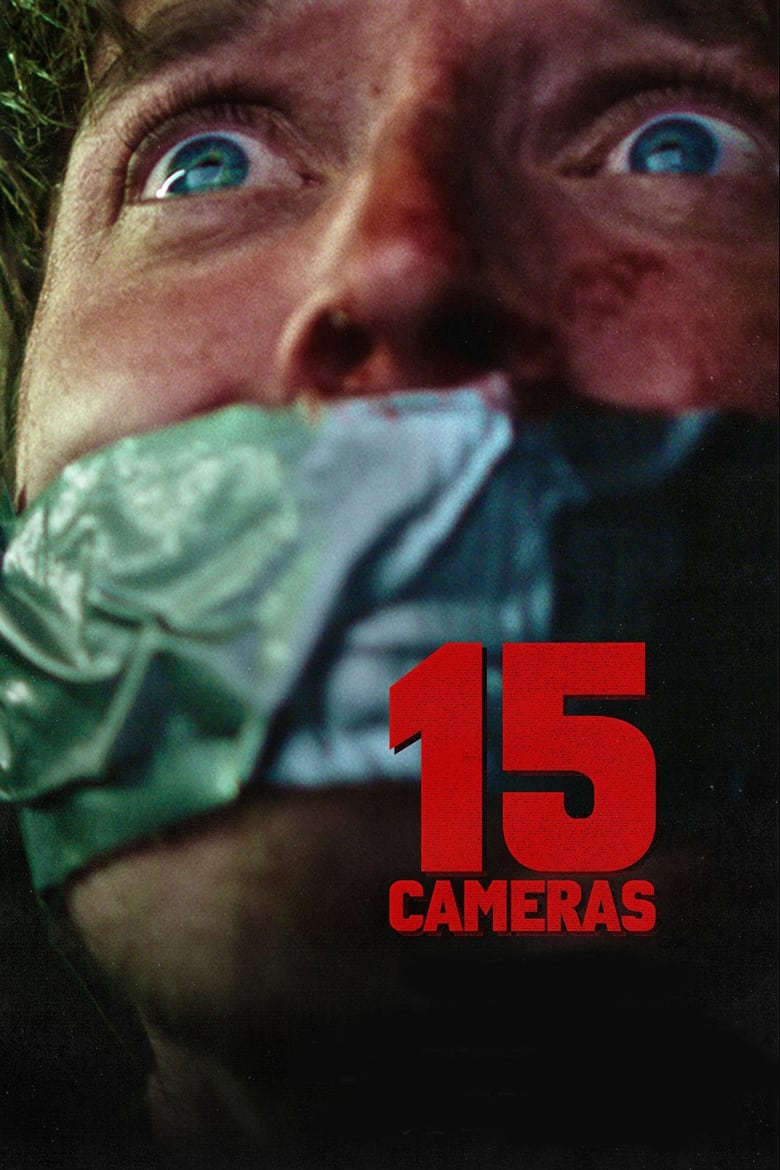 Poster of 15 Cameras