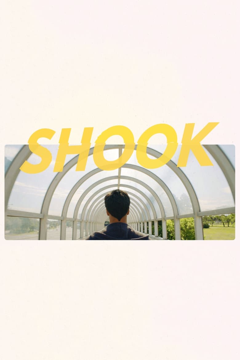 Poster of Shook