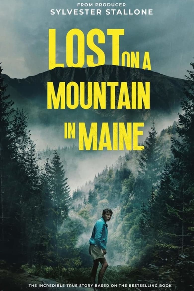 Poster of Lost on a Mountain in Maine