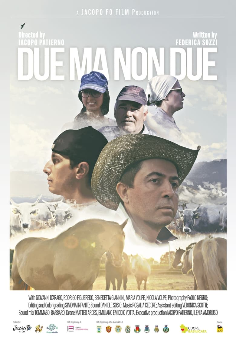 Poster of Due ma non due