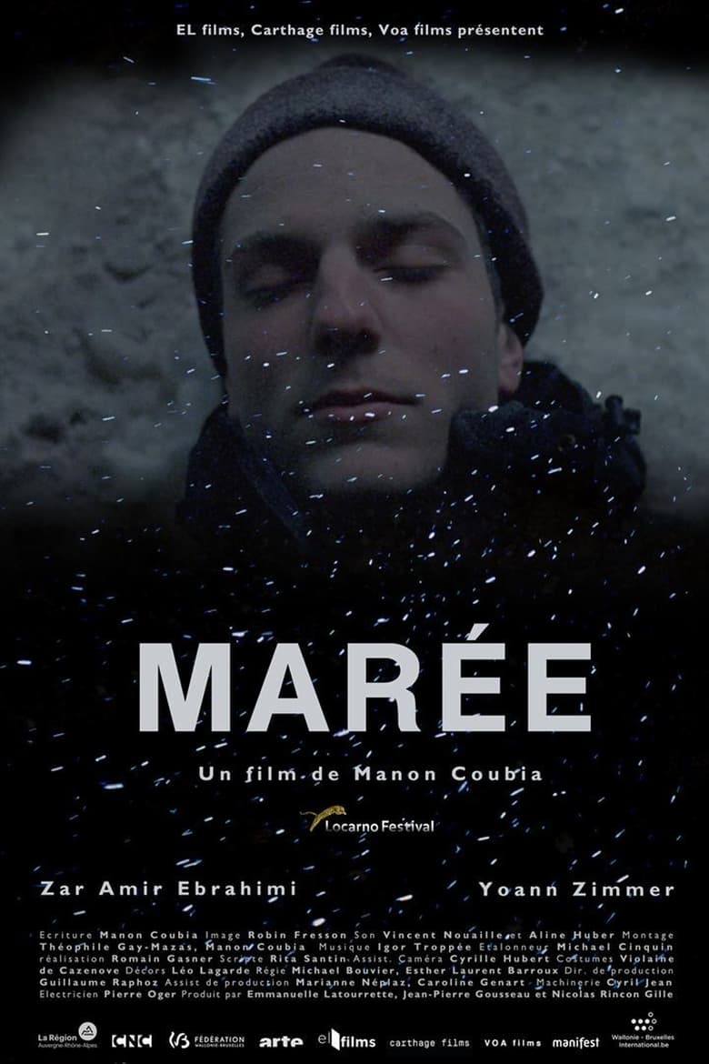 Poster of Marée, histoires de montagne