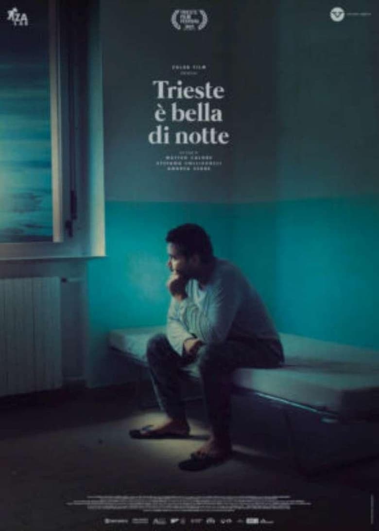 Poster of Trieste Shines at Night