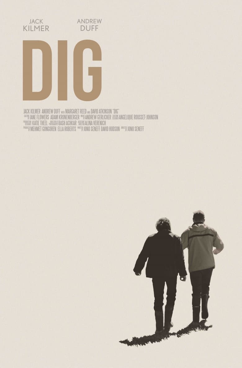 Poster of Dig