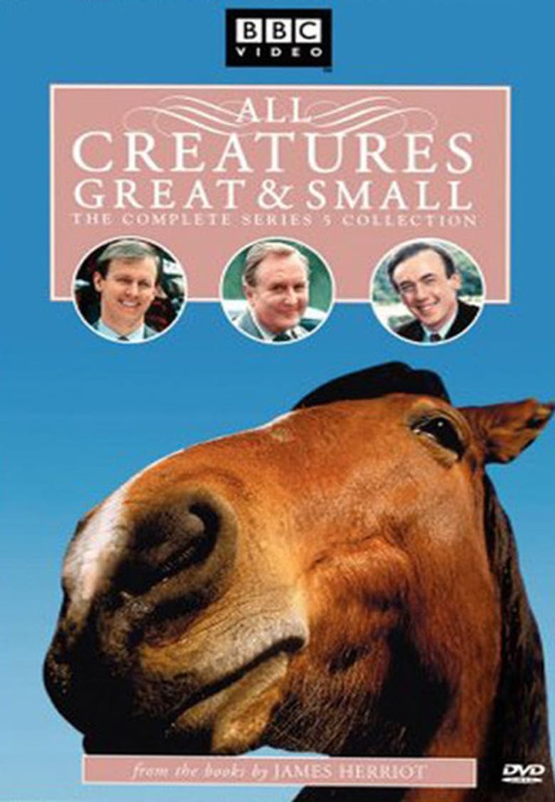 Poster of Episodes in All Creatures Great And Small - Season 5 - Season 5