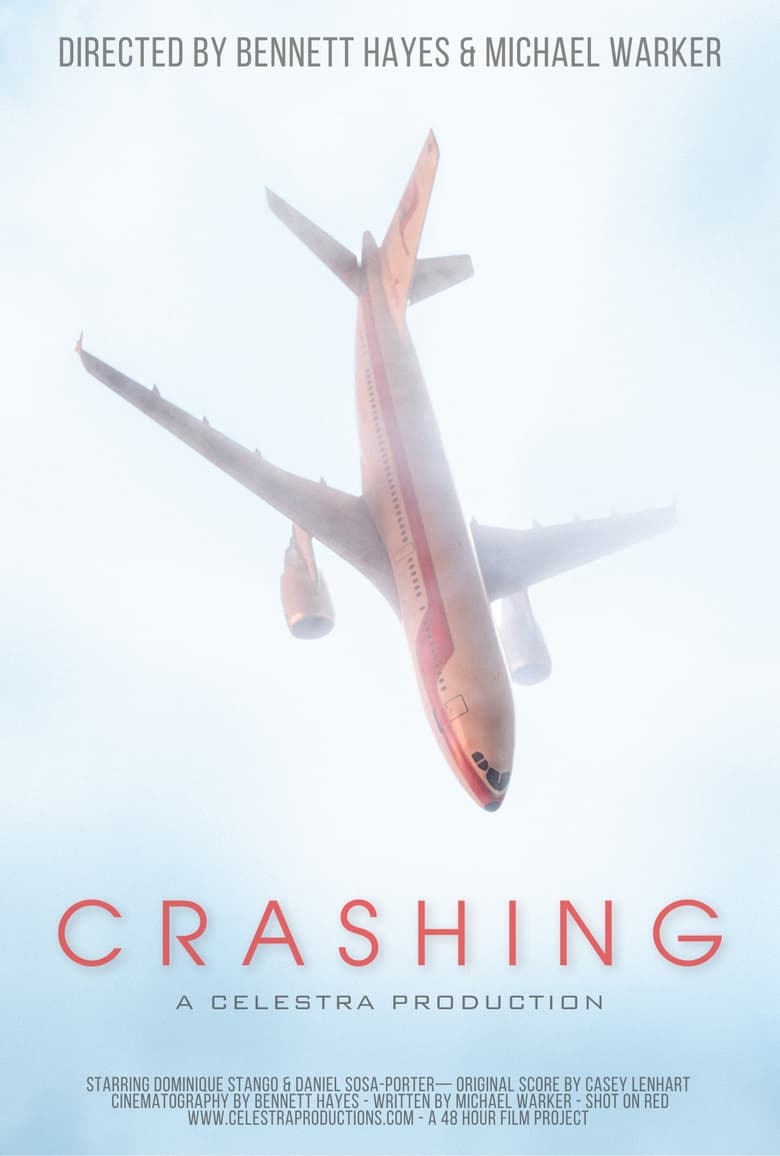 Poster of Crashing