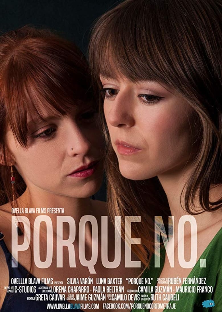 Poster of Porque no.