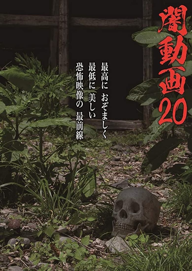 Poster of Tokyo Videos of Horror 20