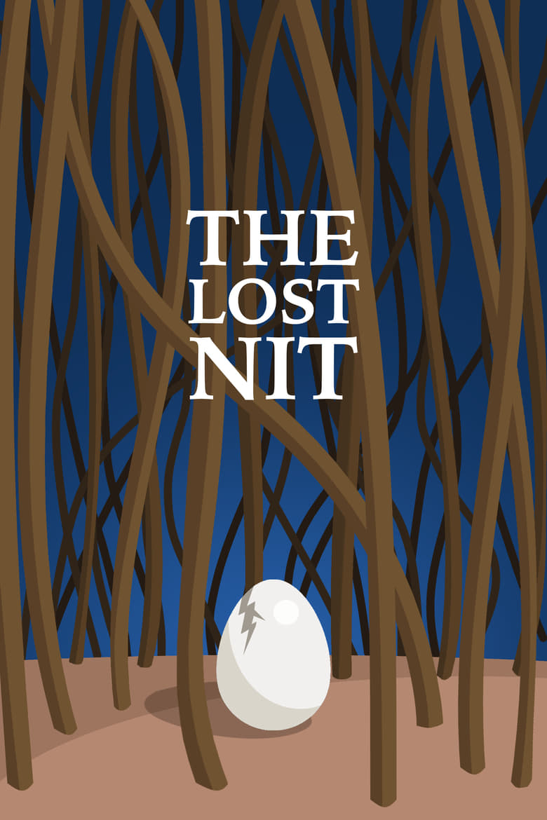 Poster of The Lost Nit