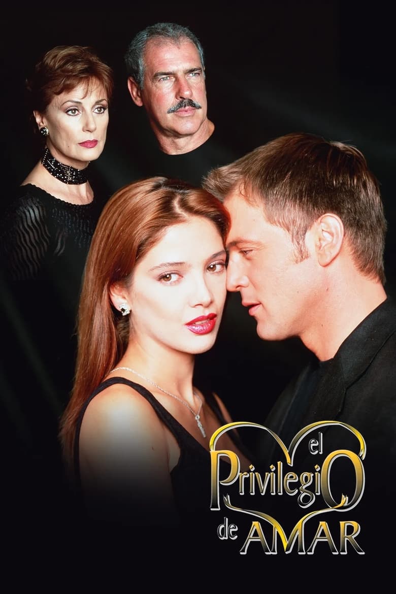 Poster of El Privilegio de Amar