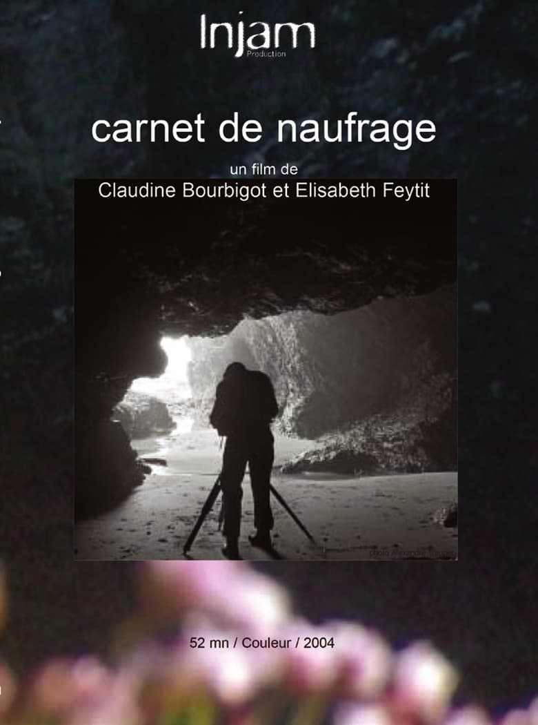 Poster of Carnet de naufrage