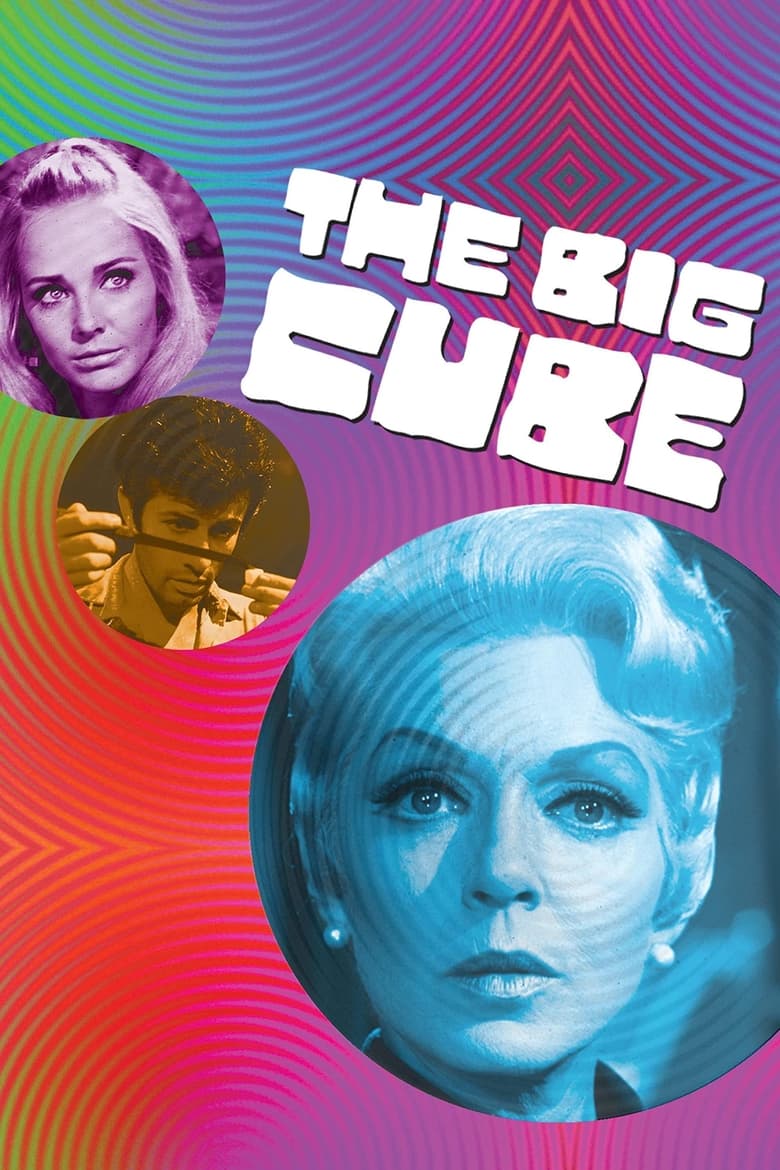 Poster of The Big Cube