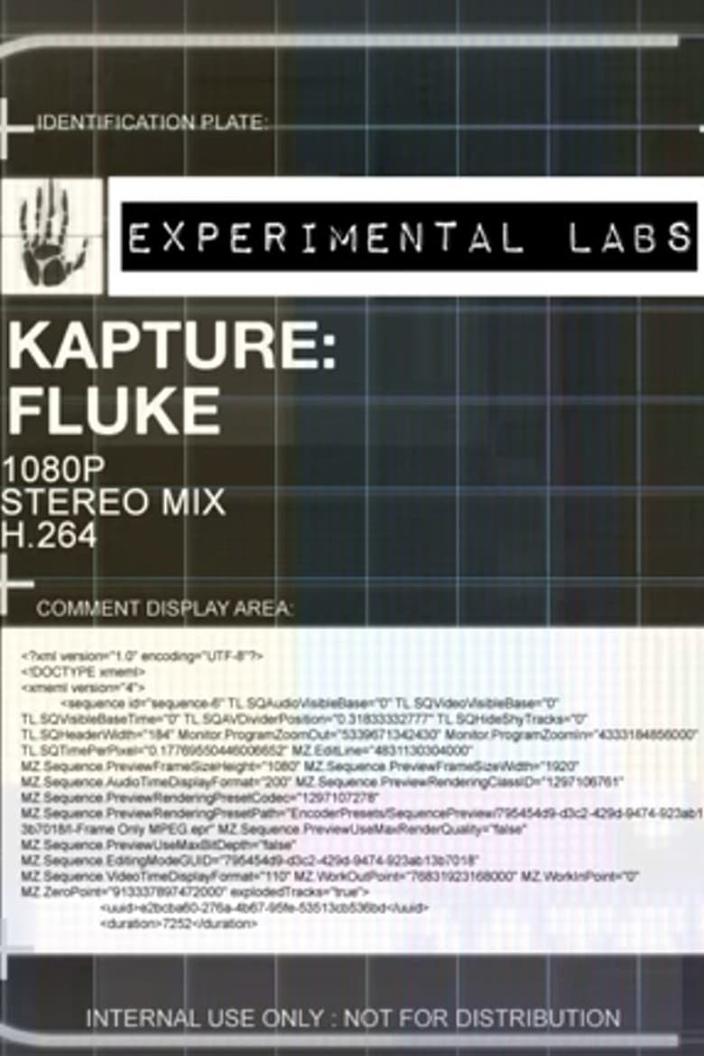 Poster of Kapture: Fluke