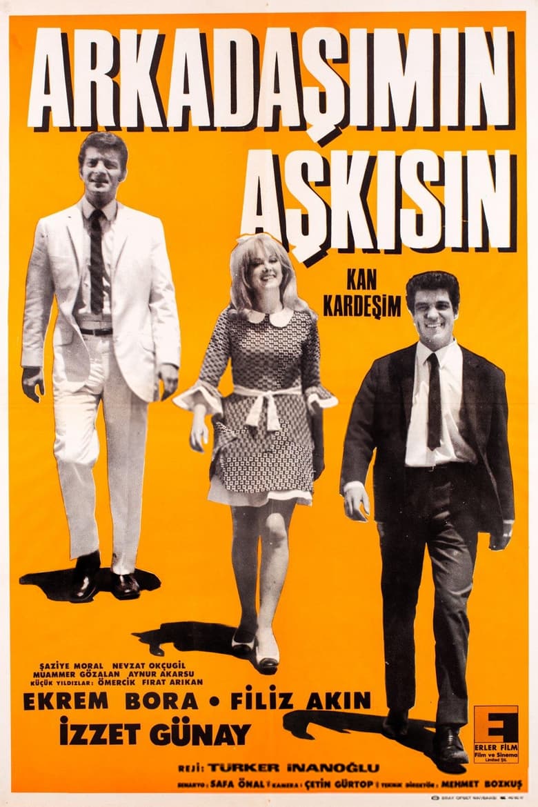 Poster of Arkadaşımın Aşkısın