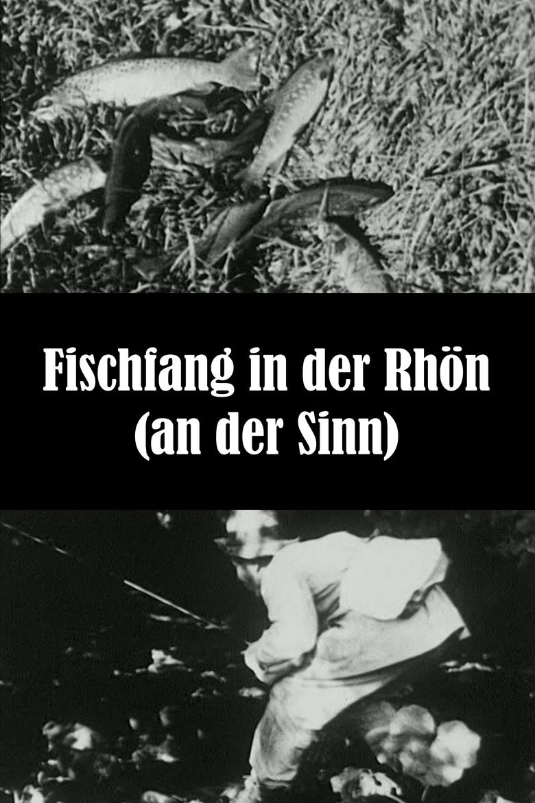 Poster of Fishing in the Rhön (at the Sinn)