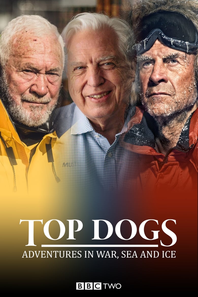 Poster of Top Dogs: Adventures in War, Sea and Ice