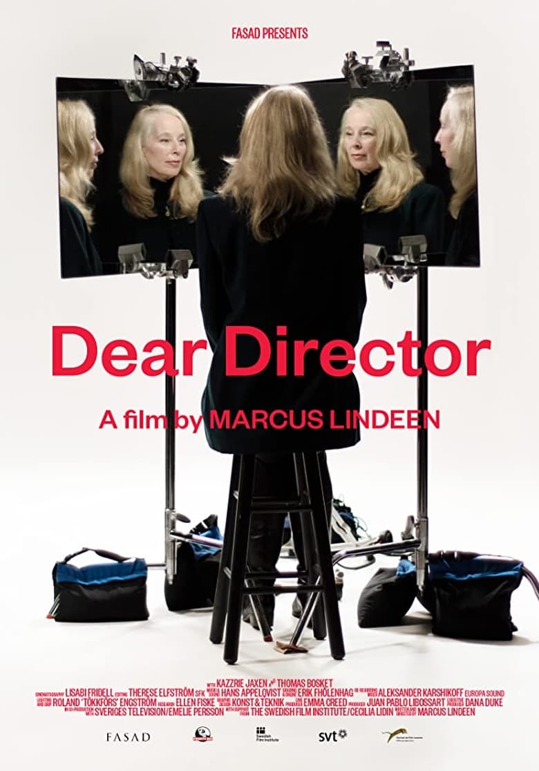 Poster of Dear Director