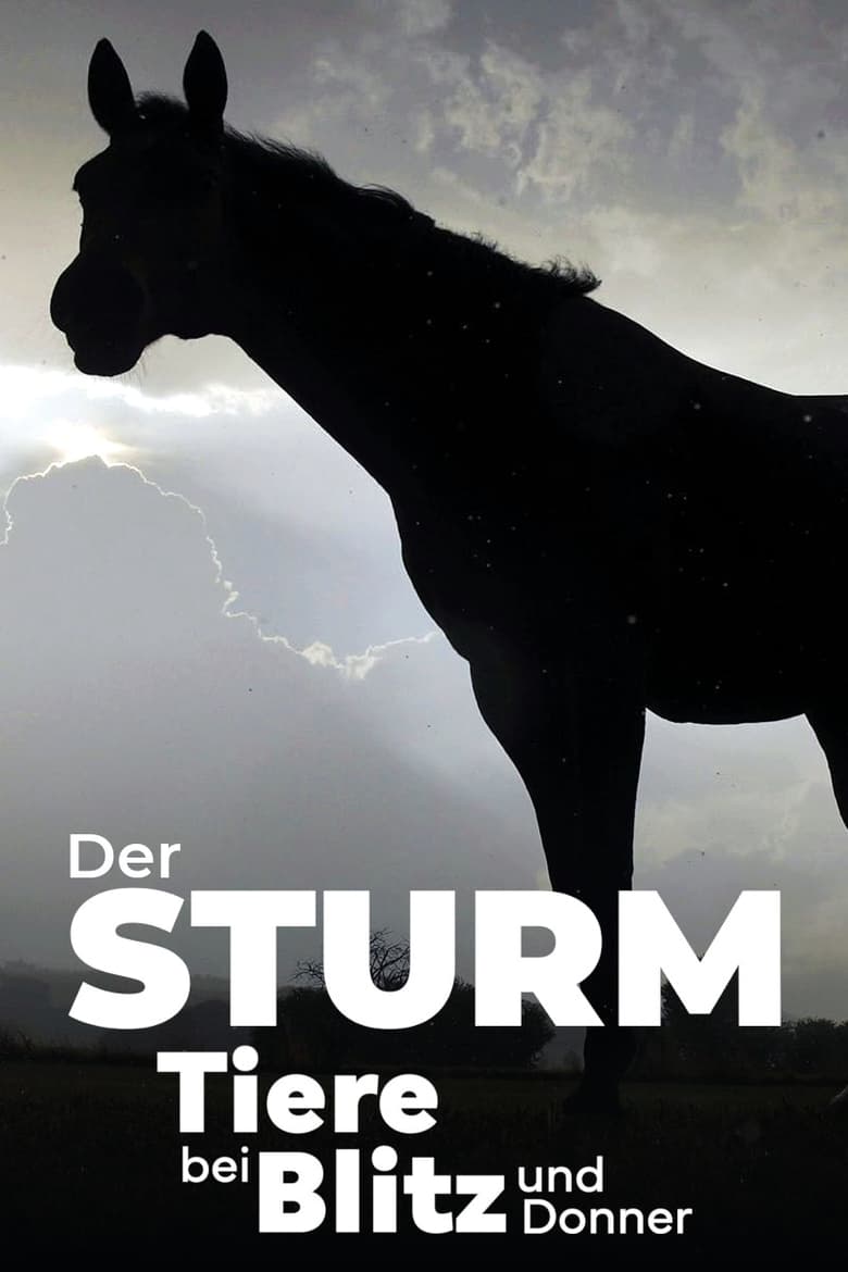 Poster of Der Sturm - Tiere bei Blitz und Donner