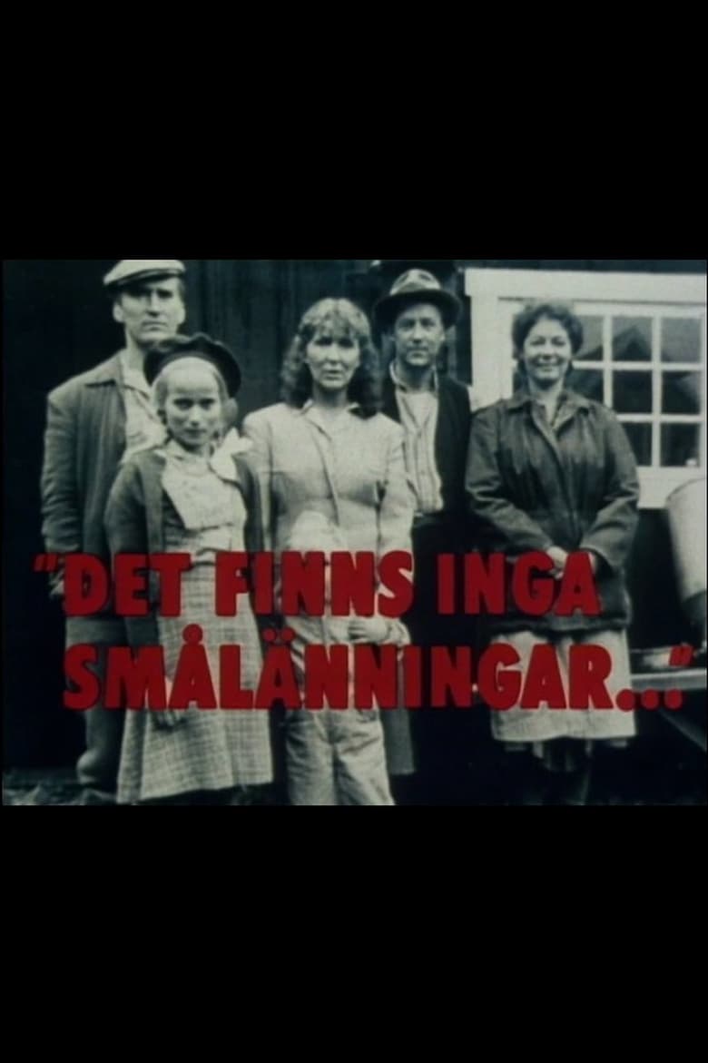 Poster of Det finns inga smålänningar