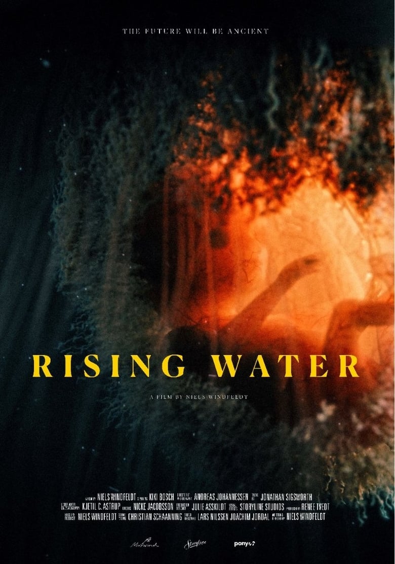 Poster of Rising Water