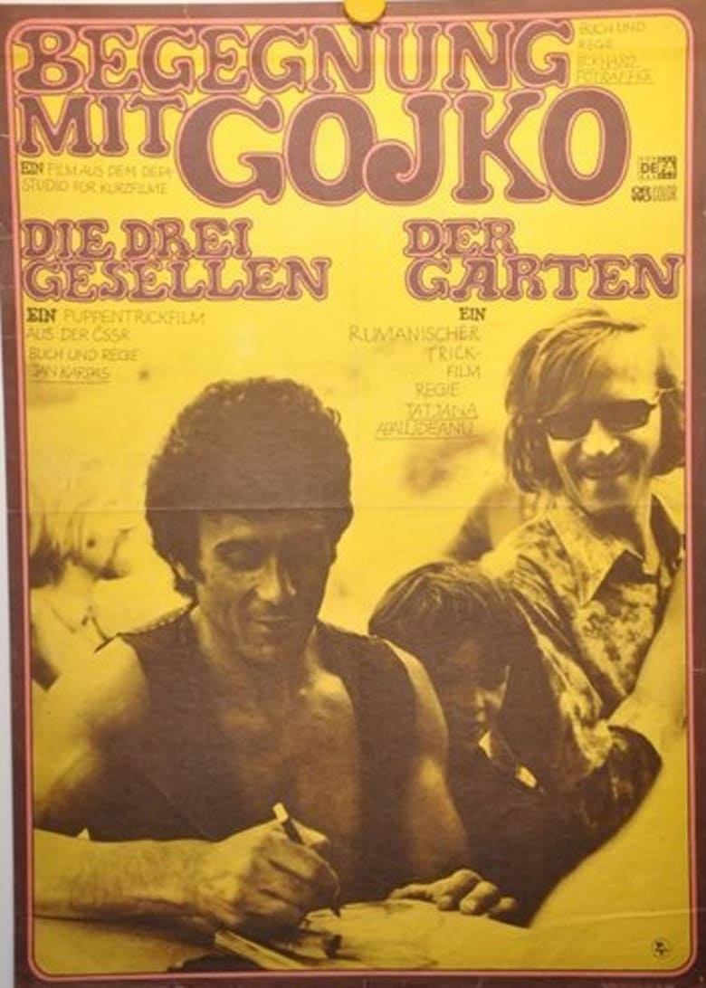 Poster of Begegnung mit Gojko